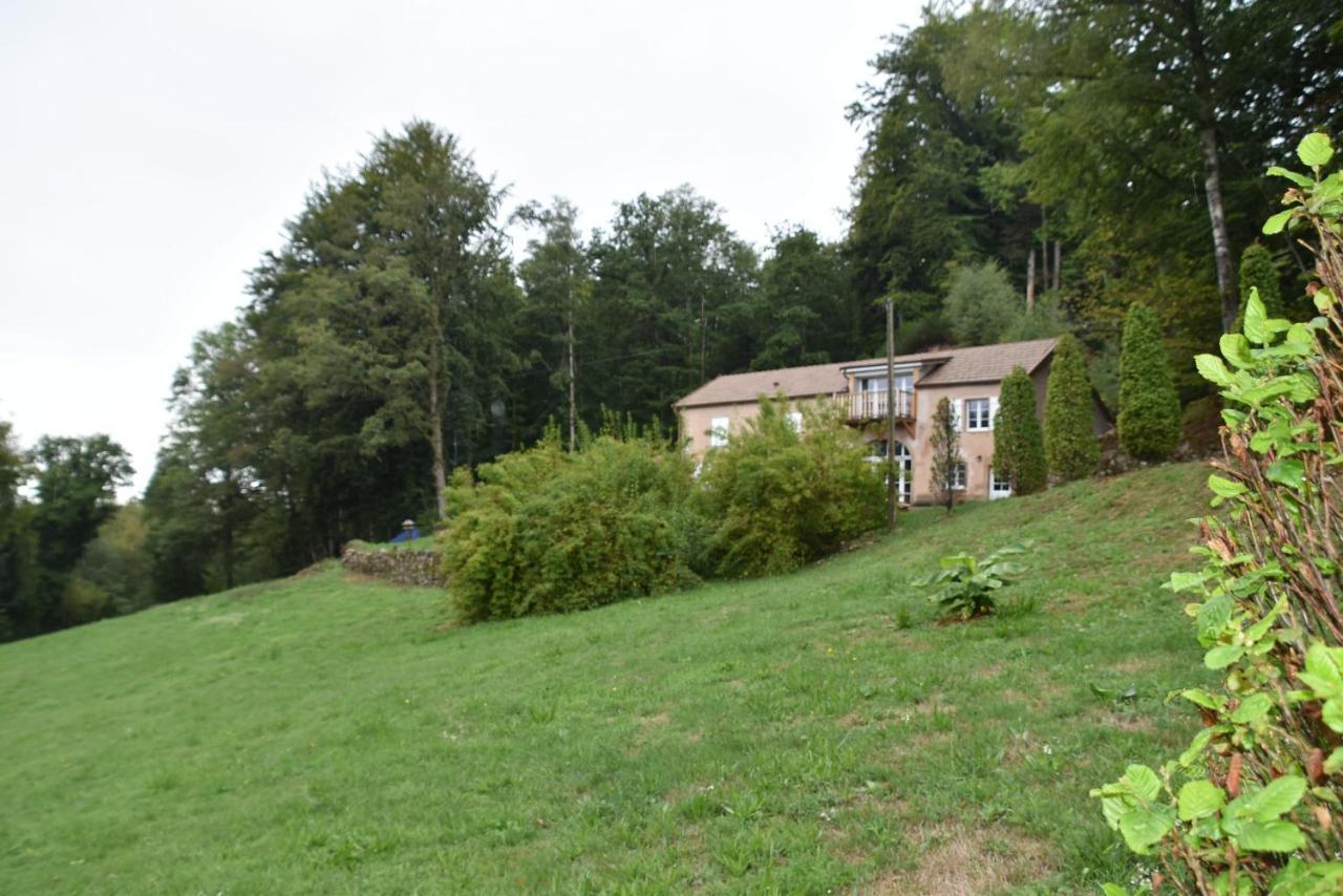 Gite Du Bois Des Hauts Les Mille Etangs La Lanterne-et-les-Armonts エクステリア 写真